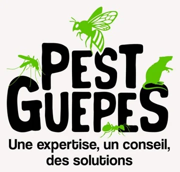 Pest Guêpes - Une expertise, un conseil, des solutions