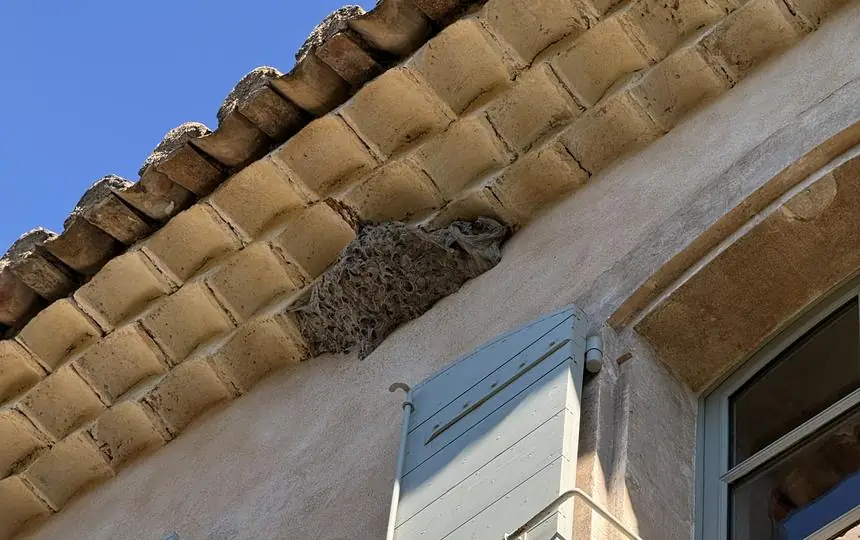 Façade provençale avec génoise, zone d'intervention typique